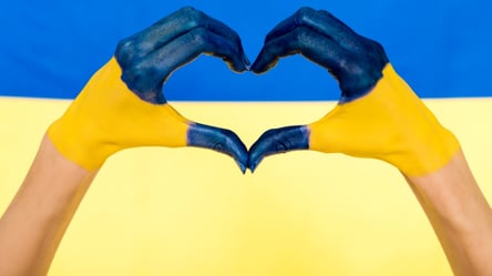 Синьо-жовта білизна, гирі з гербом та проукраїнські бджоли: 10 крінжових патріотичних товарів на OLX - 285x160