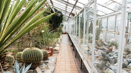 Теплиця без втрат тепла — поради, щоб рослини не замерзли - 285x160