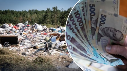 Штрафы вырастут до 51 000 гривен: в Украине хотят ужесточить наказание за выброс мусора - 285x160