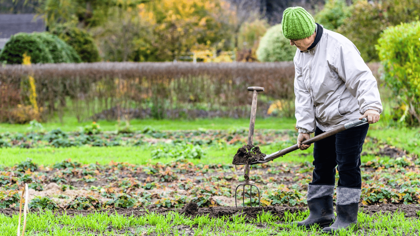 Что сделать к Страстной пятнице на огороде для богатого урожая: народные приметы