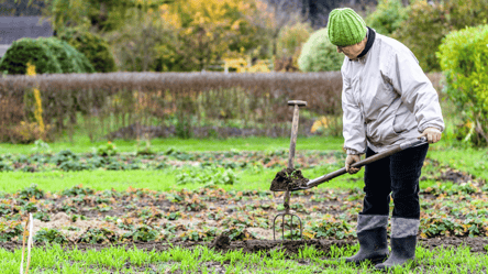 Зробіть це на городі до Страсної п'ятниці: зберете щедрий врожай - 285x160