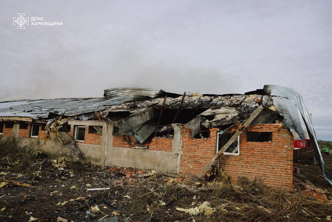 Thousands of animals killed on a farm in Kharkiv region due to drone attack - photo 4