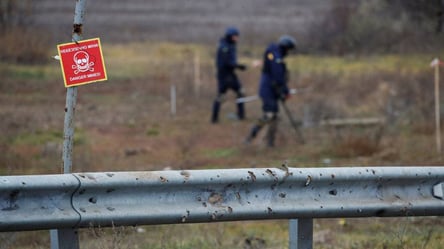 В Харьковской области подорвались на мине мужчина и семилетний мальчик - 285x160