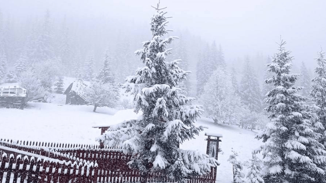 На Буковину вернулась зима — горный район в снегу