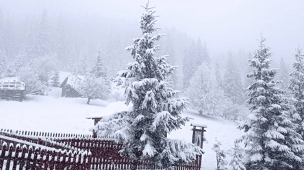 На Буковину повернулася зима — гірський район у снігу - 285x160