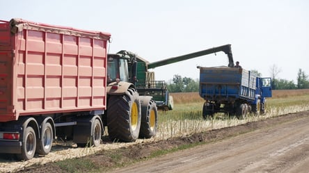 Ціни на ячмінь продовжують рости — скільки коштують зернові - 285x160