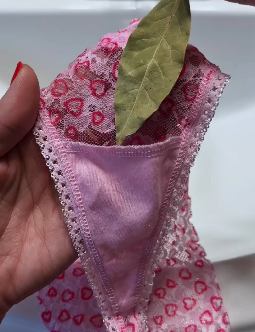 Навіщо ставити лавровий листок у білизну