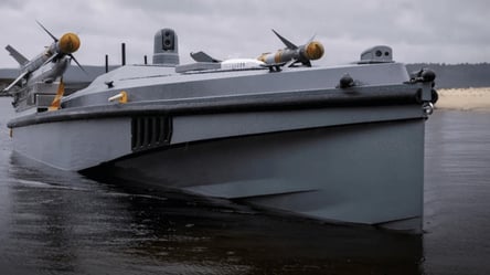 Лише 1% від ціни знищенного флоту РФ — що потопили дрони MAGURA - 285x160