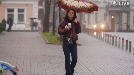 Чого чекати від погоди у Києві та області сьогодні — прогноз синоптиків - 285x160