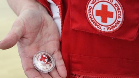 Не нужны лишние глаза: в "ЛНР" оккупанты запретили въезд сотрудникам Красного Креста - 285x160