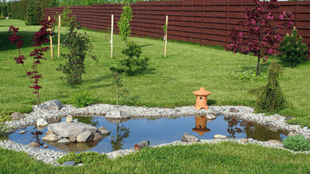 Какие растения посадить возле водоема — советы садоводам - 285x160