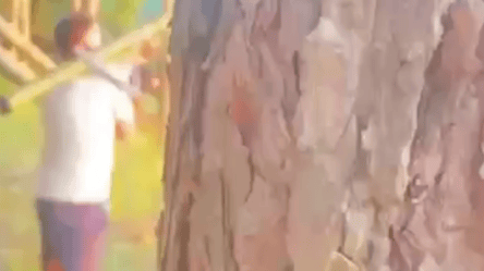 Військовий у пляжному одязі збив ворожу ракету з ПЗРК — вражаюче відео - 285x160