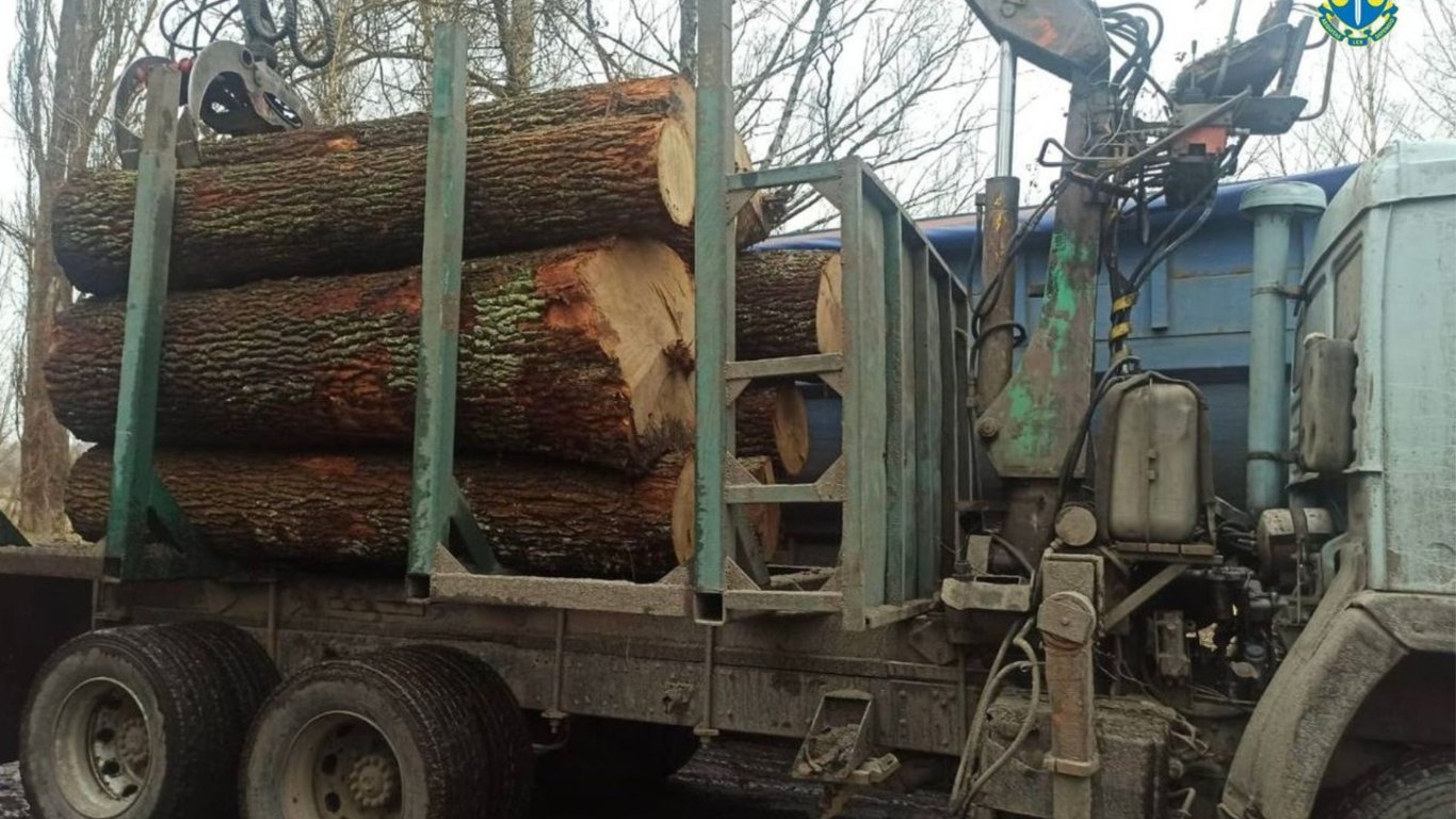 Київська поліція оголосила підозру "чорному лісорубу" Чорнобиля — в чому звинувачують