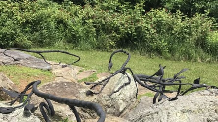 Сложная задача для гениев — найдите змею на скульптуре с виноградной лозой - 285x160