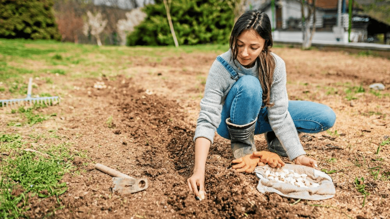 Лазарева субота 2026: чи можна працювати на городі та в саду
