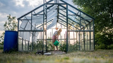 Підготуйте теплицю до зими — весняний врожай злетить вдвічі - 285x160