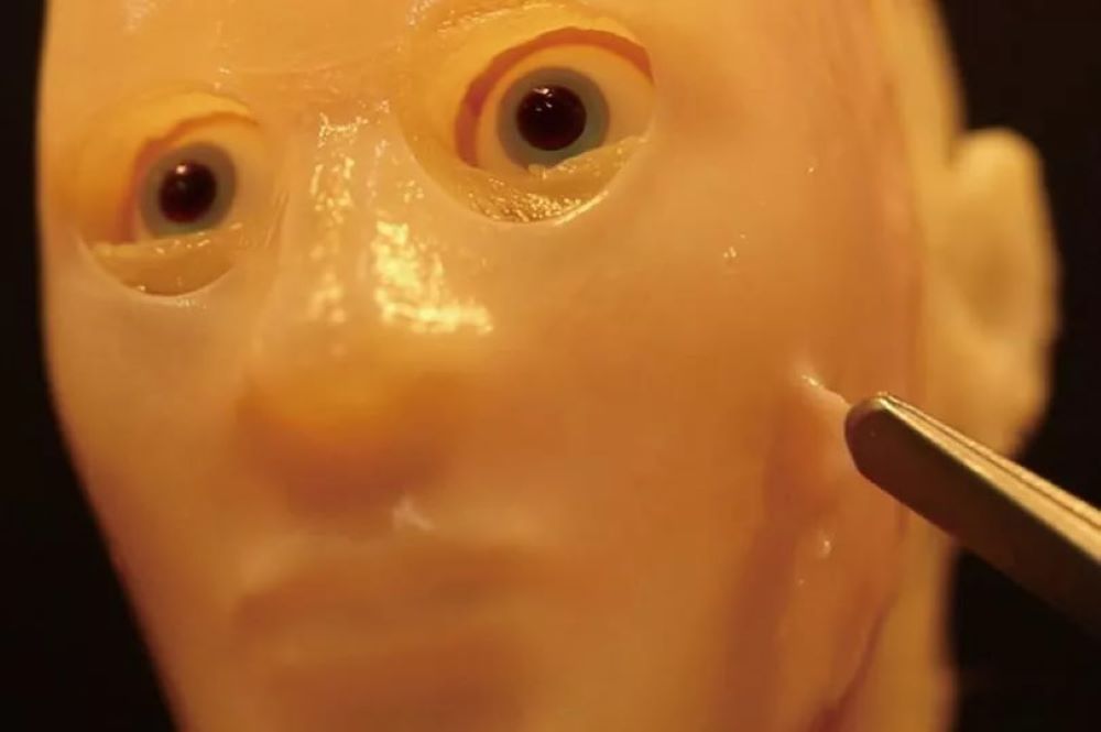 Терминатор уже близко - в Японии научились создавать человеческую кожу для роботов - фото 1