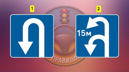 Тест ПДР, де помиляються 51%: який знак дозволяє поворот ліворуч - 290x166