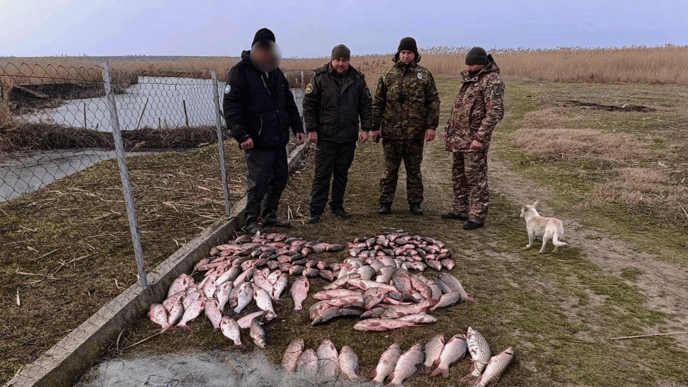 Браконьер в Одесской области наловил рыбы на 500 тысяч грн