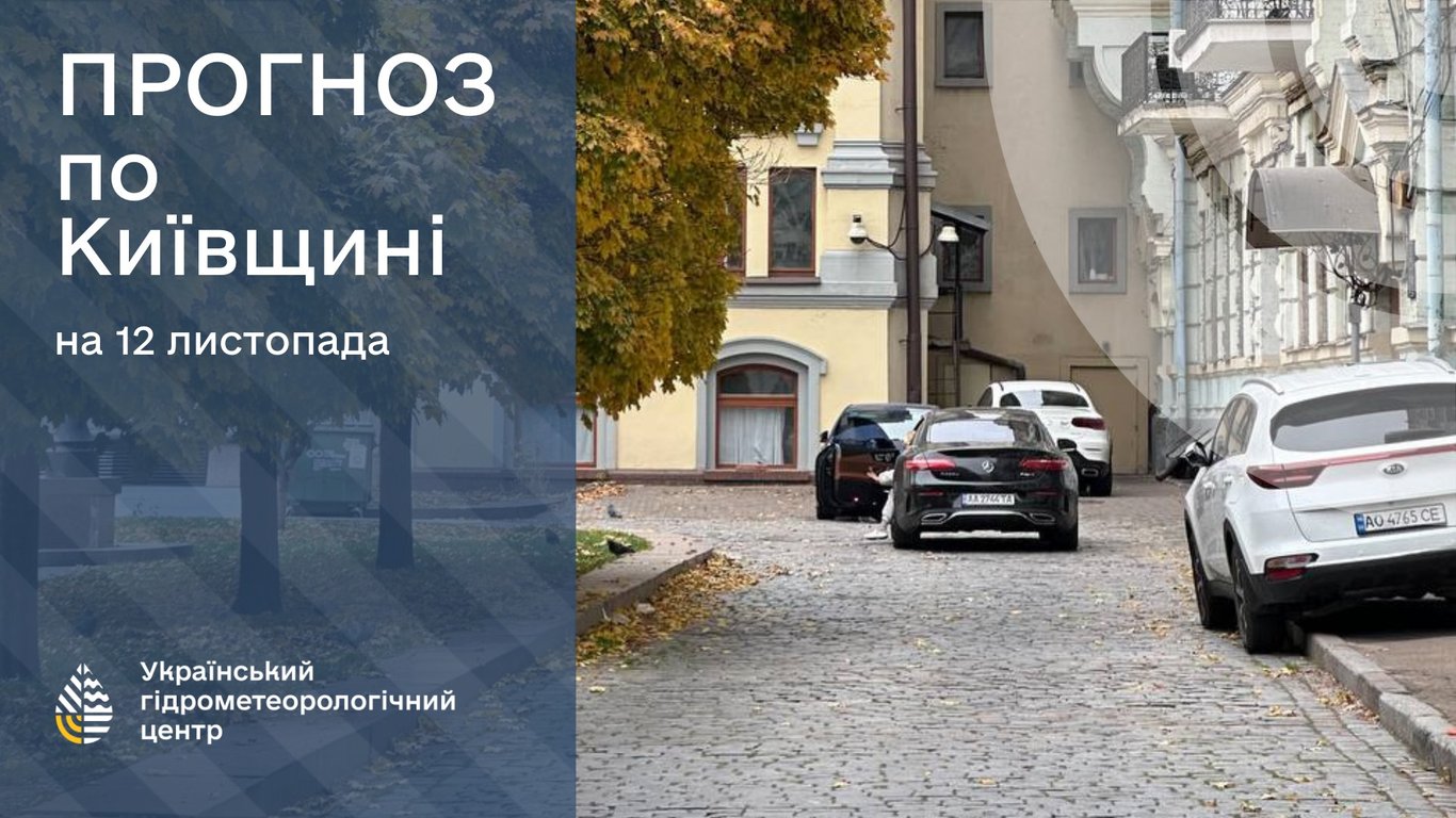 погода на Київщині 11 листопада