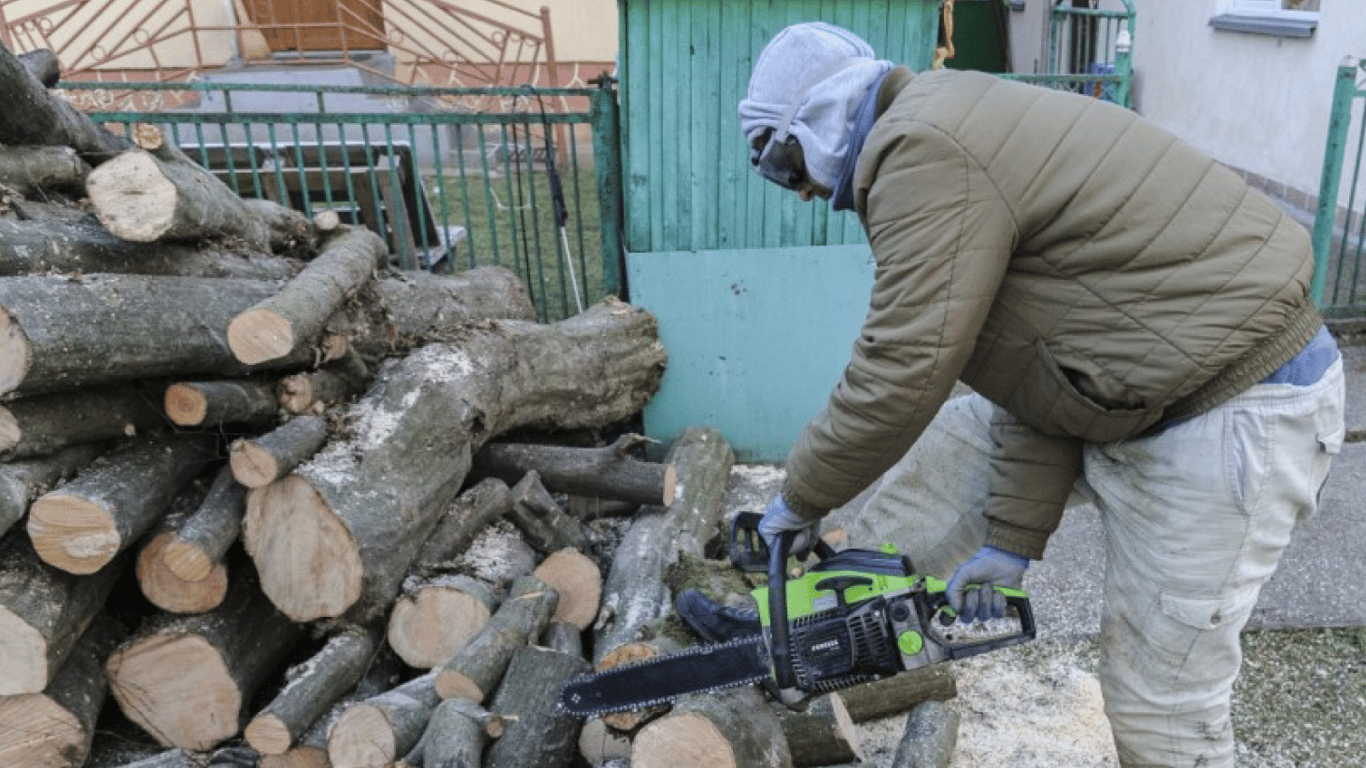 Закон про дрова — коли українців не штрафуватимуть