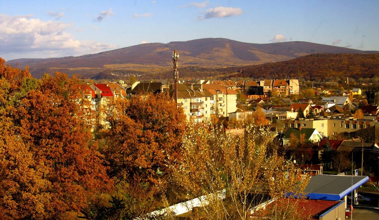 Аренда в Ужгороде — какие цены установили владельцы квартир - фото 3