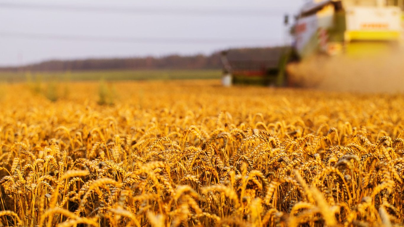 Цены на зерновые в Украине по состоянию на 28 сентября 2023