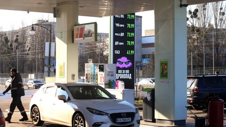 Фурса назвал главный недостаток программы кэшбэка за топливо - 285x160