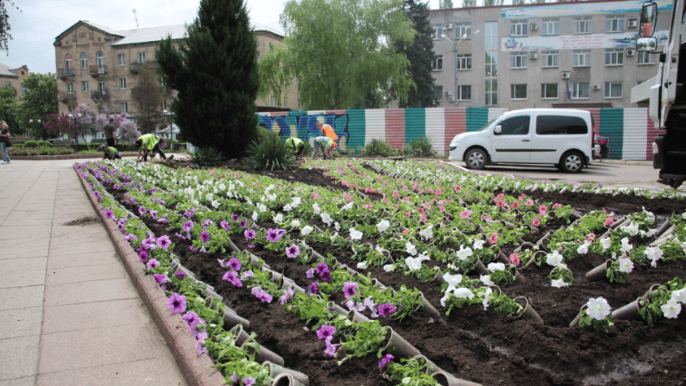 Ситуация в Покровске — городские власти высаживают цветы