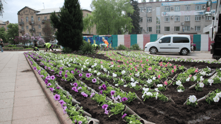 У Покровську, який за 20 км від російських загарбників, міська влада висаджує квіти - 285x160