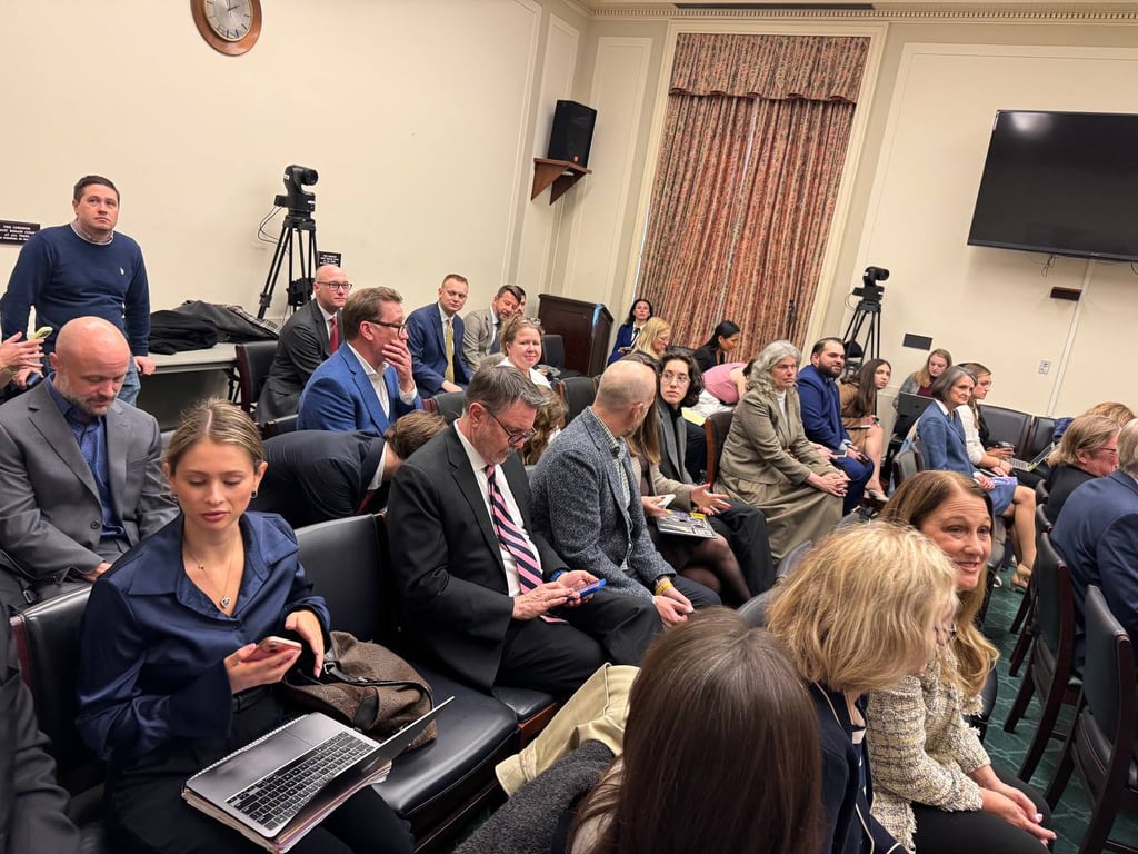 В Конгрессе обсудили план возвращения похищенных РФ украинских детей домой