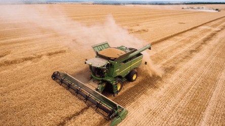 Несколько стран Евросоюза поддерживают запрет импорта украинского зерна до конца года - 285x160