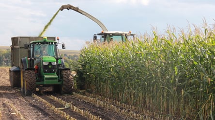 Ціни на зерно в Україні — скільки коштує кукурудза у листопаді - 285x160