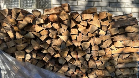 Дрова от частных компаний — какие цены на сосну и дуб в ноябре - 285x160