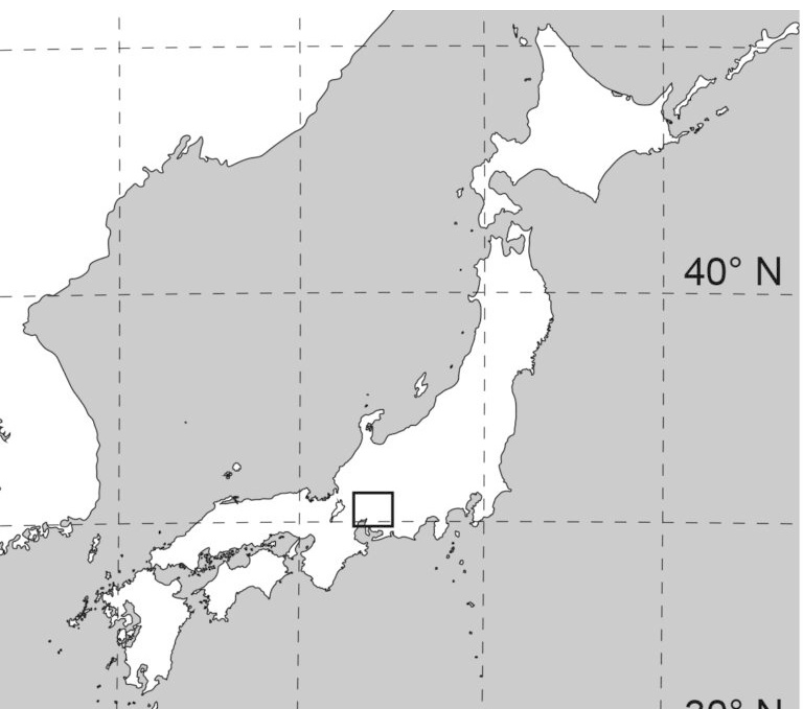 Місце, де знайшли скам'янілий ліс. Фото: Scientific Reports