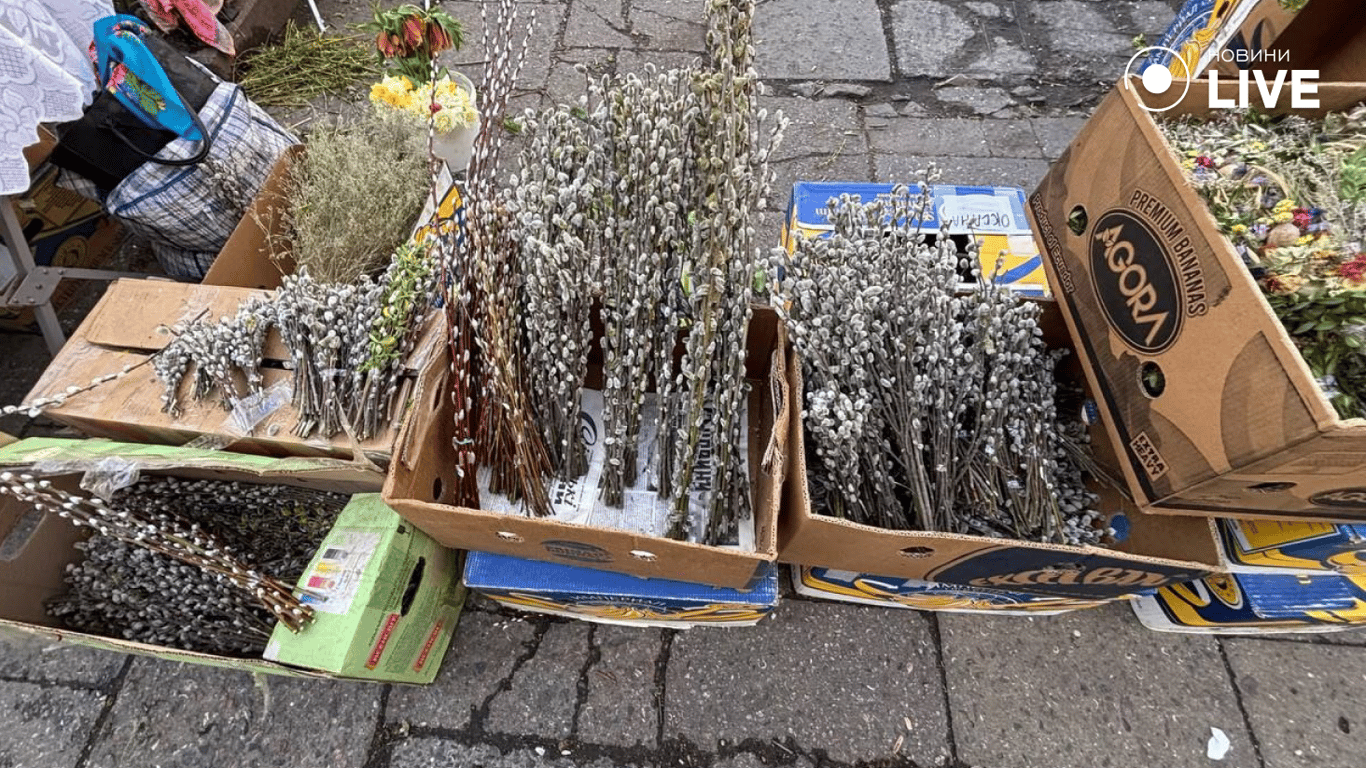 Вербна неділя в Одесі — скільки коштують гілочки та букети - фото 2