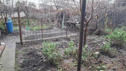 В Одессе продают участок на 8 соток за 100 тыс. долл — детали - 285x160