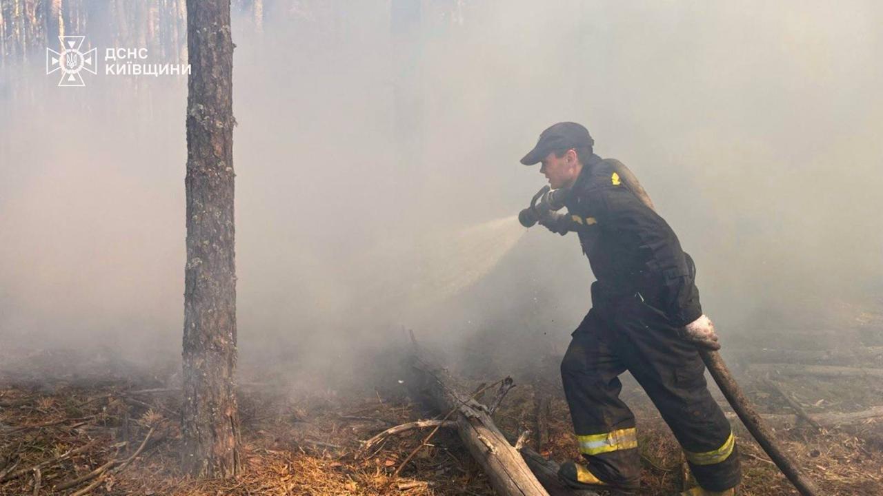 Ліквідація пожежі у Зоні відчуження
