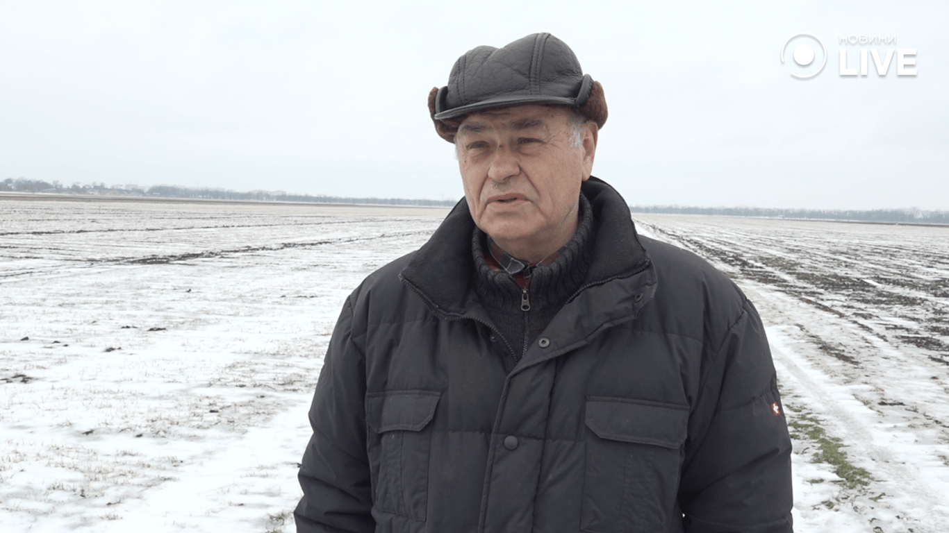 Виснажений ґрунт та зледеніння – чи буде врожай на Одещині у 2026 - фото 1