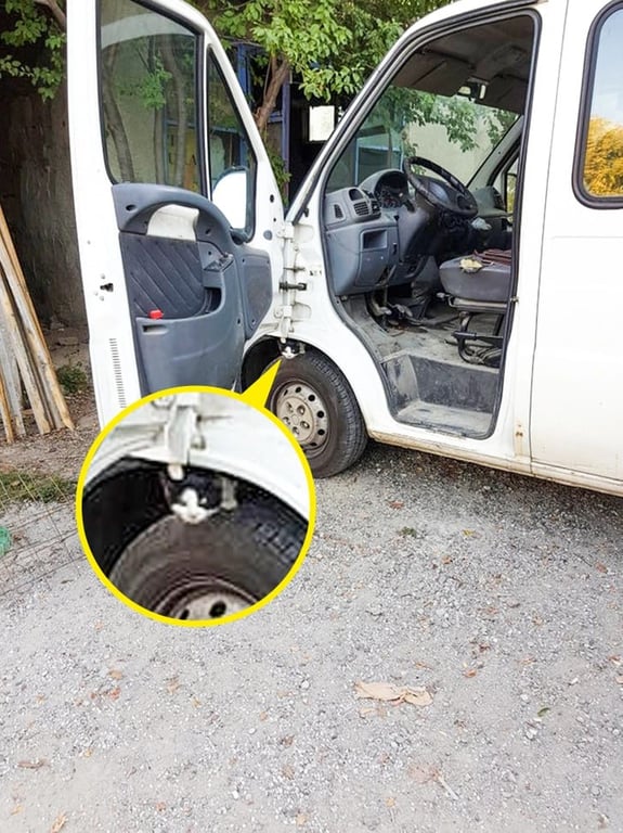 Оптична ілюзія — знайдіть маленького кота на великому фото за 5 секунд - фото 2