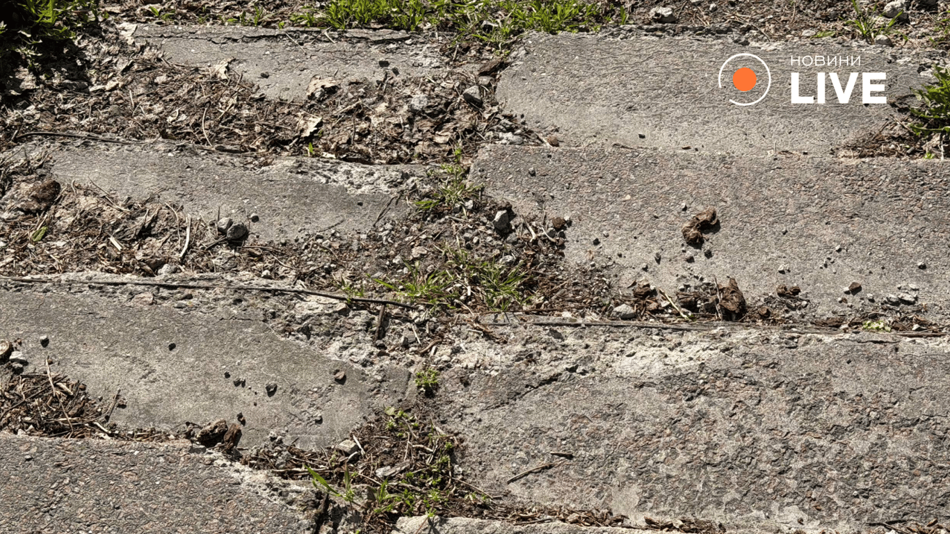 Біля озера Вербне у Києві хочуть привести в порядок територію