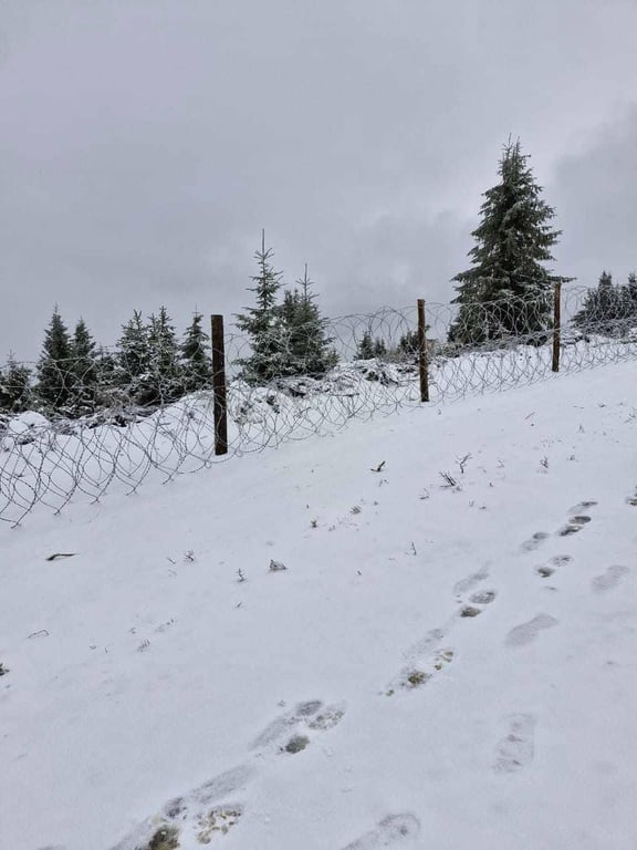 ухилянти втікали за кордон