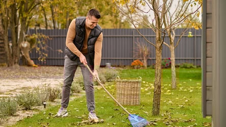 Прибирання біля паркану — за що можуть оштрафувати власників - 285x160