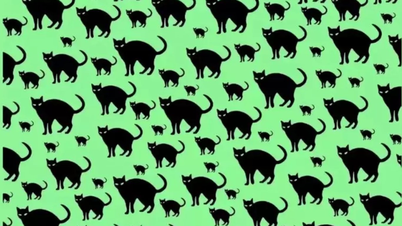 Більшість не розв'яже цю оптичну ілюзію: знайдіть щура серед котів за 5 секунд