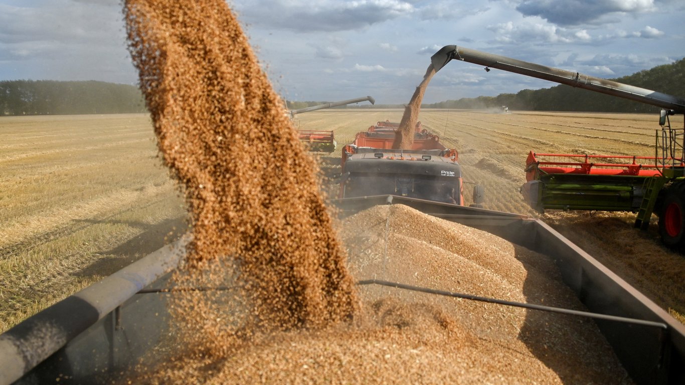 Ціни на зернові в Україні станом на 18 листопада 2023