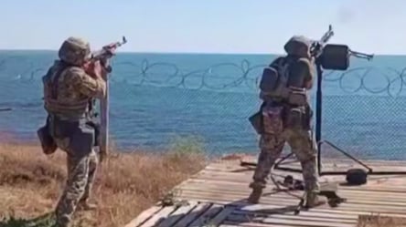 Прикордонники показали, як знищили шахед над Одесою — відео - 285x160