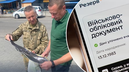Реєстр "Оберіг": як подивитися дані про себе і виправити помилки - 290x160