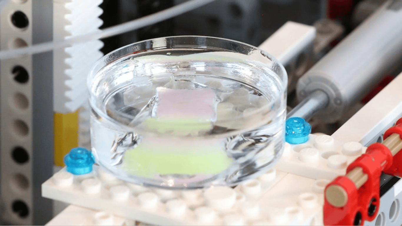 Вчені надрукували людську шкіру на 3D-принтері, створеному з Lego: як це працює