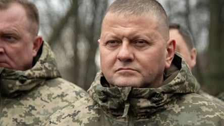 Річниця визволення Чернігівщини: Залужний показав, як ЗСУ звільняли регіон - 285x160