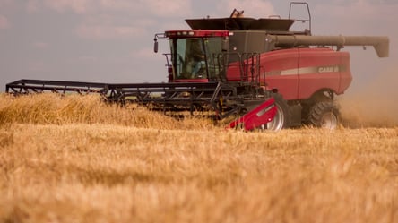 Ціни на зерно в Україні — скільки коштує пшениця у січні - 285x160